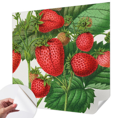 Peel and stick wallpaper mural Summer fruits