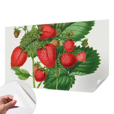 Peel and stick wallpaper mural with a summer fruits design