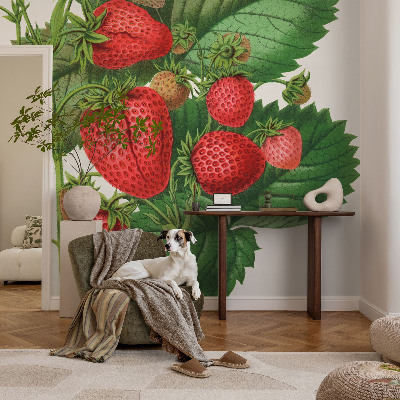 Peel and stick wallpaper mural with a summer fruits design