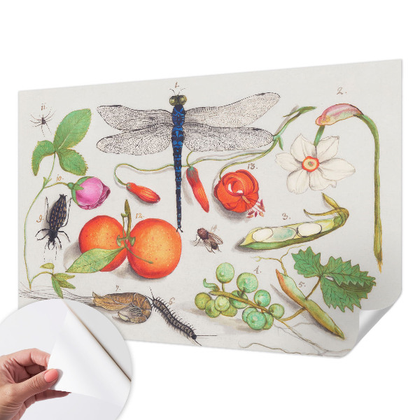 3D photo wallpaper mural Nature illustration