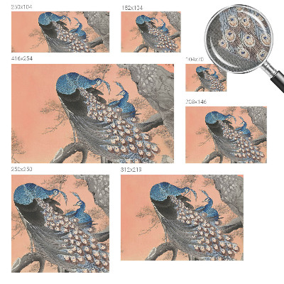 Self-adhesive wall mural Peacock elegance