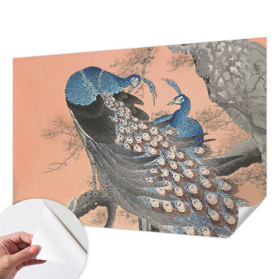 Self-adhesive wall mural Peacock elegance