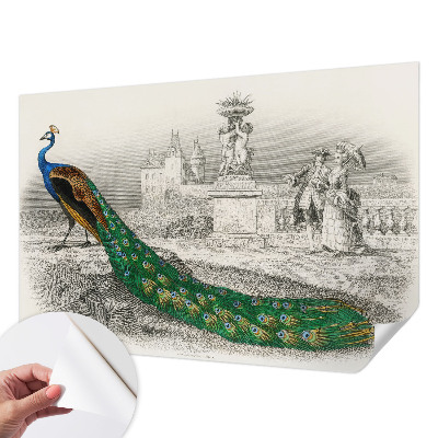 Self-adhesive photo wallpaper with a colorful feather pattern