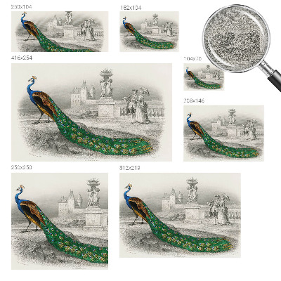 Self-adhesive photo wallpaper Colorful feathers