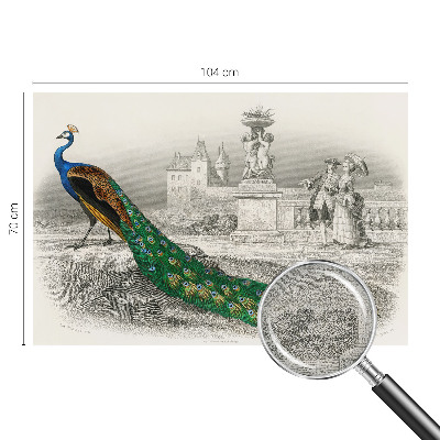 Self-adhesive photo wallpaper Colorful feathers