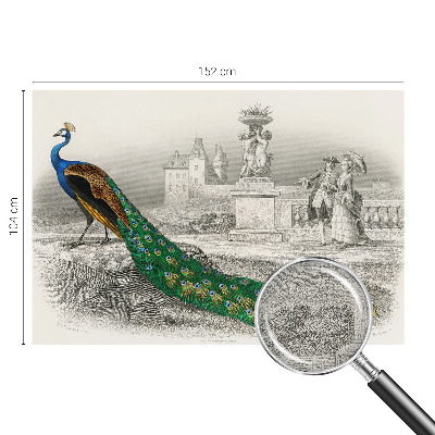 Self-adhesive photo wallpaper with a colorful feather pattern