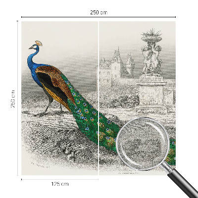 Self-adhesive photo wallpaper Colorful feathers