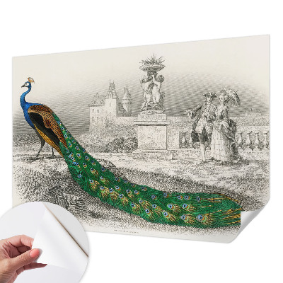 Self-adhesive photo wallpaper Colorful feathers