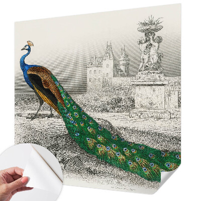 Self-adhesive photo wallpaper Colorful feathers