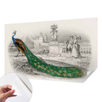 Self-adhesive photo wallpaper Colorful feathers