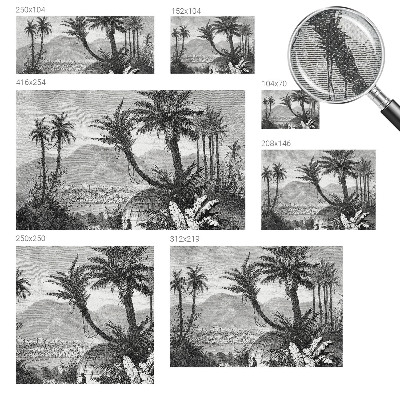 Removable wall mural wallpaper Tropical oasis