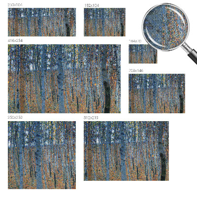 3D wall mural Birch forest