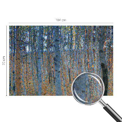 3D wall mural Birch forest