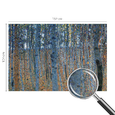 3D wall mural Birch forest