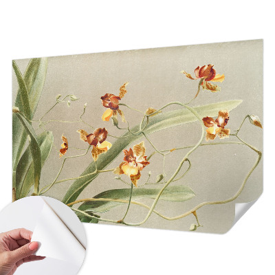 Peel and stick wall mural for bedroom featuring a classic orchid design