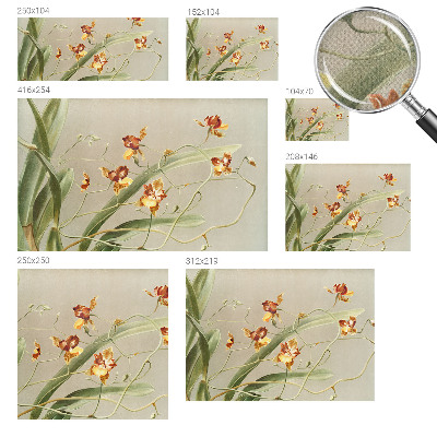 Peel and stick wall mural for bedroom featuring a classic orchid design