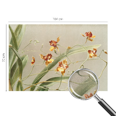 Peel and stick wall mural for bedroom featuring a classic orchid design