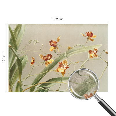 Peel and stick wall mural for bedroom featuring a classic orchid design