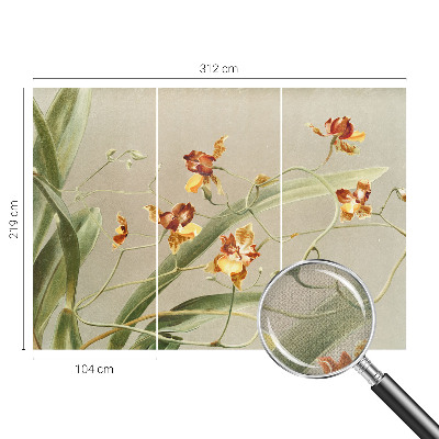 Peel and stick wall mural for bedroom featuring a classic orchid design