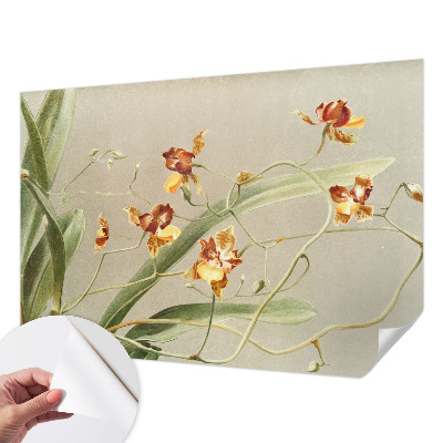 Peel and stick wall mural for bedroom featuring a classic orchid design