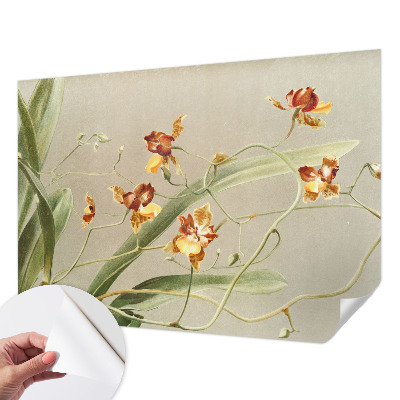 Peel and stick wall mural for bedroom featuring a classic orchid design