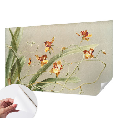 Peel and stick wall mural for bedroom featuring a classic orchid design