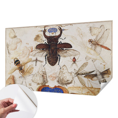 Peel and stick wall mural Natural harmony