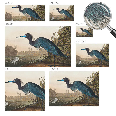 Stick-on wall mural with a water birds motif