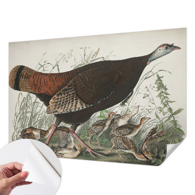 Removable wall mural wallpaper featuring a natural harmony design