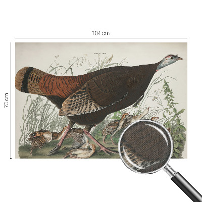 Removable wall mural wallpaper Natural harmony