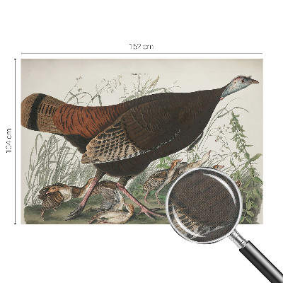 Removable wall mural wallpaper Natural harmony