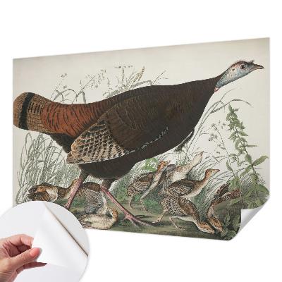 Removable wall mural wallpaper featuring a natural harmony design