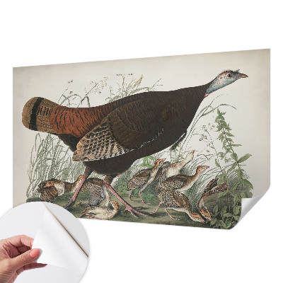 Removable wall mural wallpaper featuring a natural harmony design