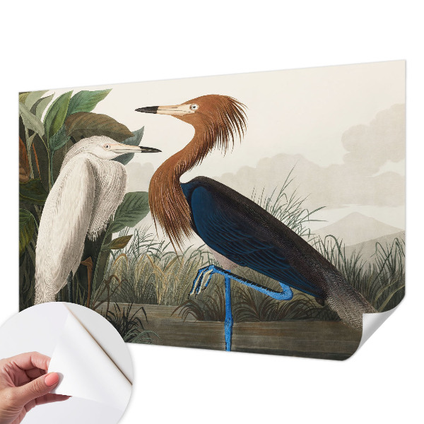 Peel and stick wall mural for kids' room with a birds and plants design