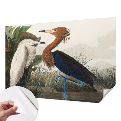 Peel and stick wall mural for kids' room with a birds and plants design