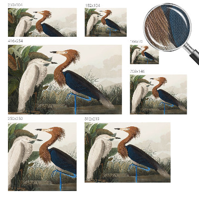 Peel and stick wall mural for kids' room with a birds and plants design