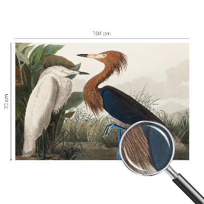 Peel and stick wall mural for kids' room with a birds and plants design