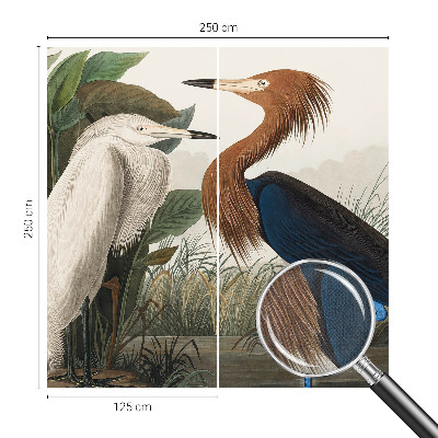 Peel and stick wall mural for kids' room with a birds and plants design