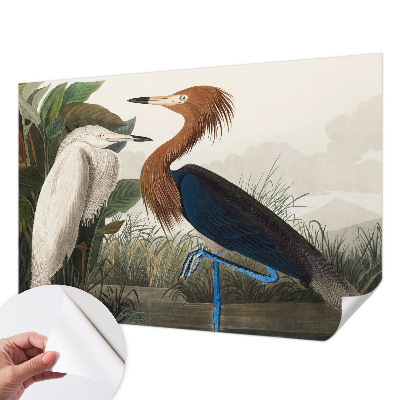 Peel and stick wall mural for kids' room with a birds and plants design