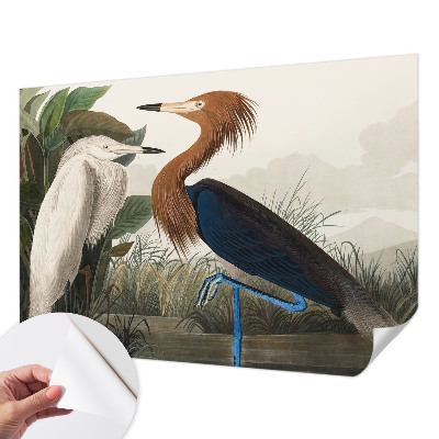 Peel and stick wall mural for kids' room with a birds and plants design