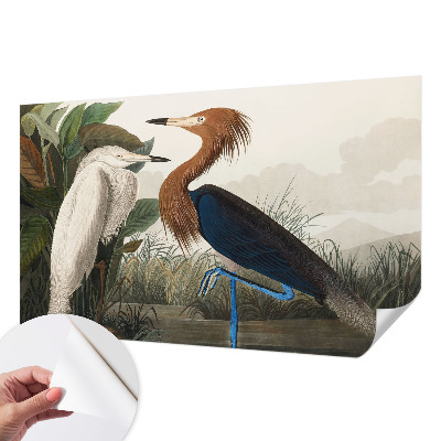 Peel and stick wall mural for kids' room with a birds and plants design