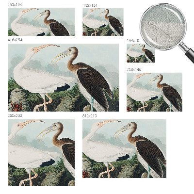 Peel and stick wall mural for bedroom Bird couple