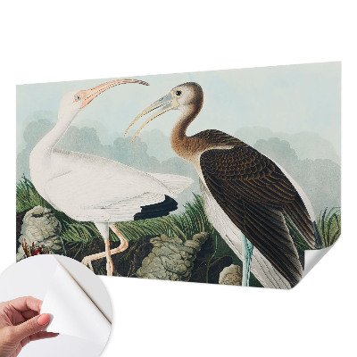 Peel and stick wall mural for bedroom with a pair of birds motif
