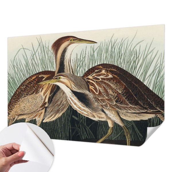 3D wall mural with a realistic birds motif