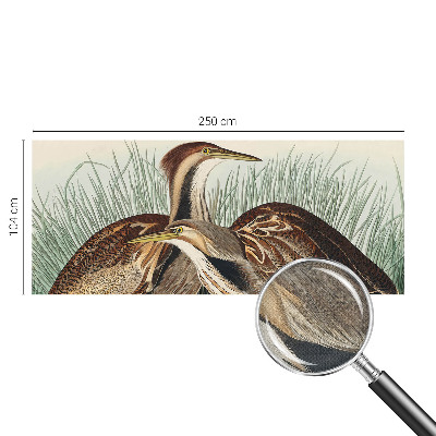 3D wall mural with a realistic birds motif