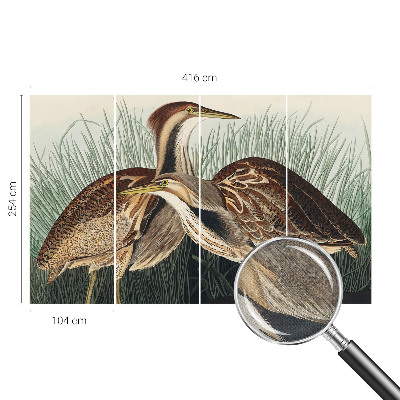 3D wall mural with a realistic birds motif