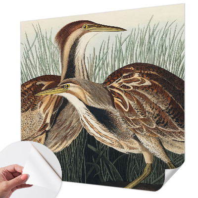 3D wall mural with a realistic birds motif