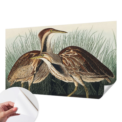 3D wall mural with a realistic birds motif