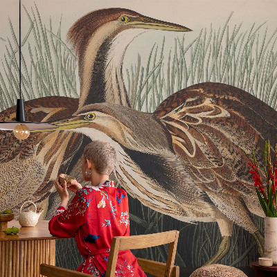 3D wall mural with a realistic birds motif