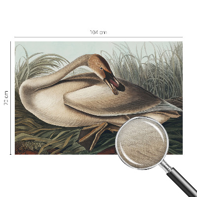 3D photo wallpaper mural with a natural bird motif